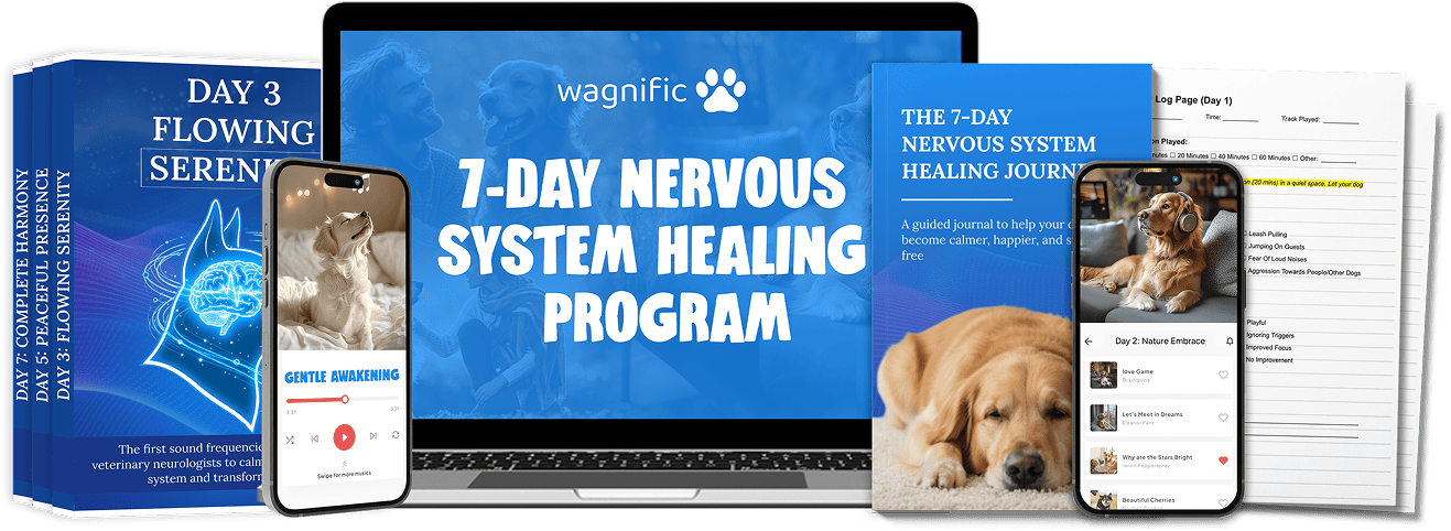 Wagnific product on phone screen with relaxed dog nearby